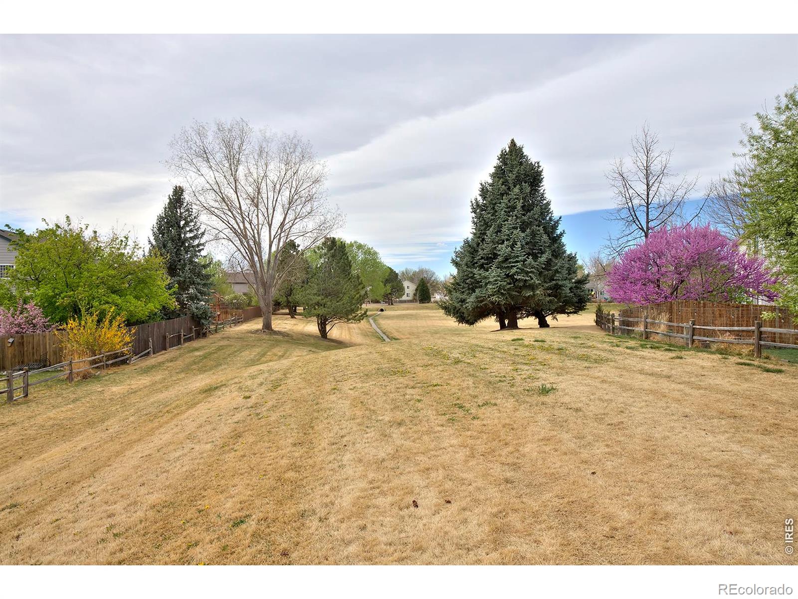 MLS Image #42 for 1209  button rock drive,longmont, Colorado