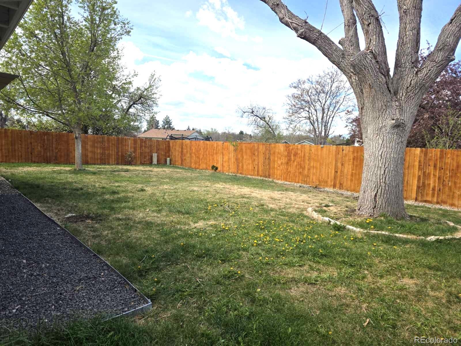 MLS Image #29 for 9445  lowell boulevard,westminster, Colorado
