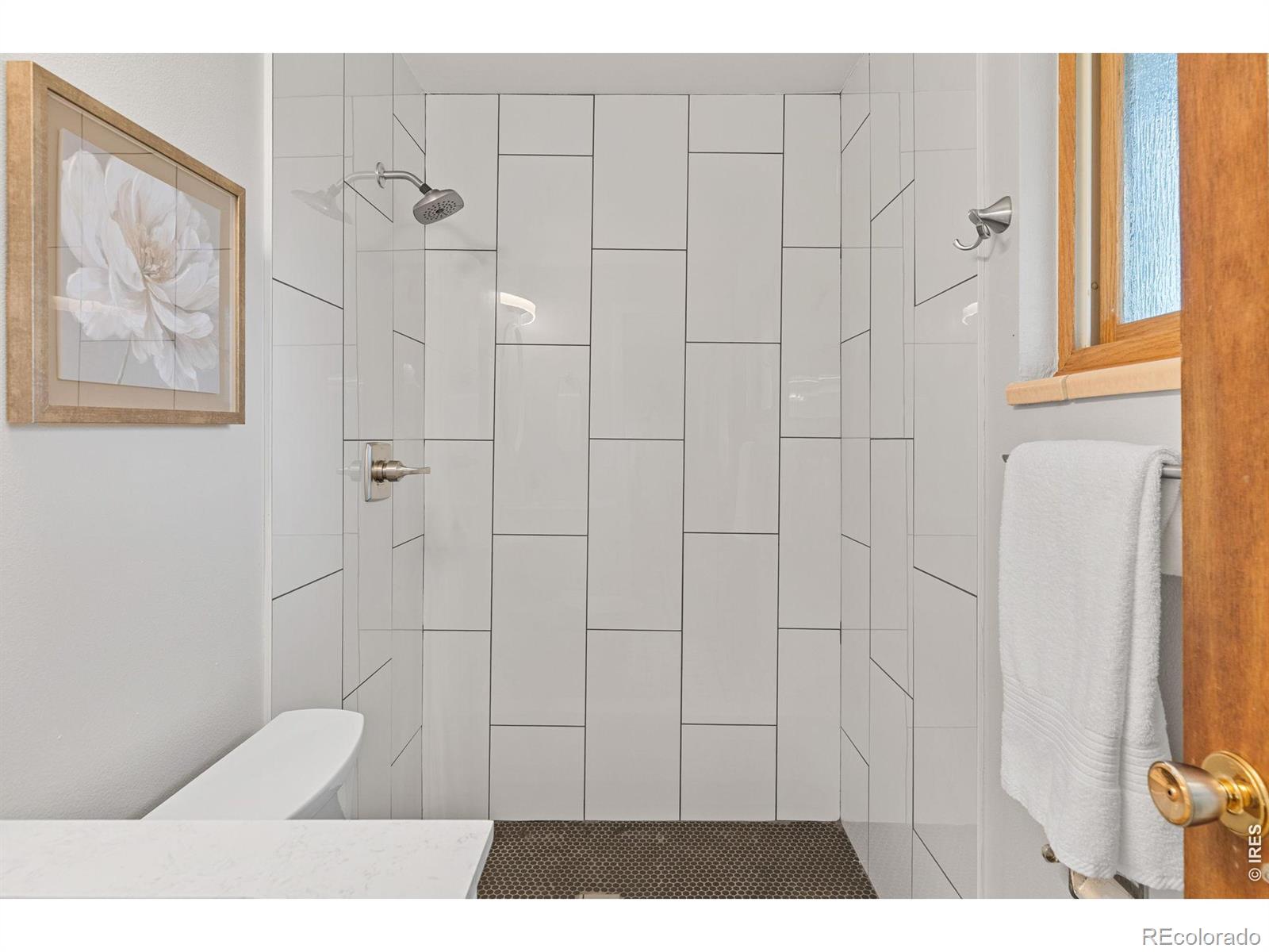 MLS Image #25 for 1010 s terry street,longmont, Colorado