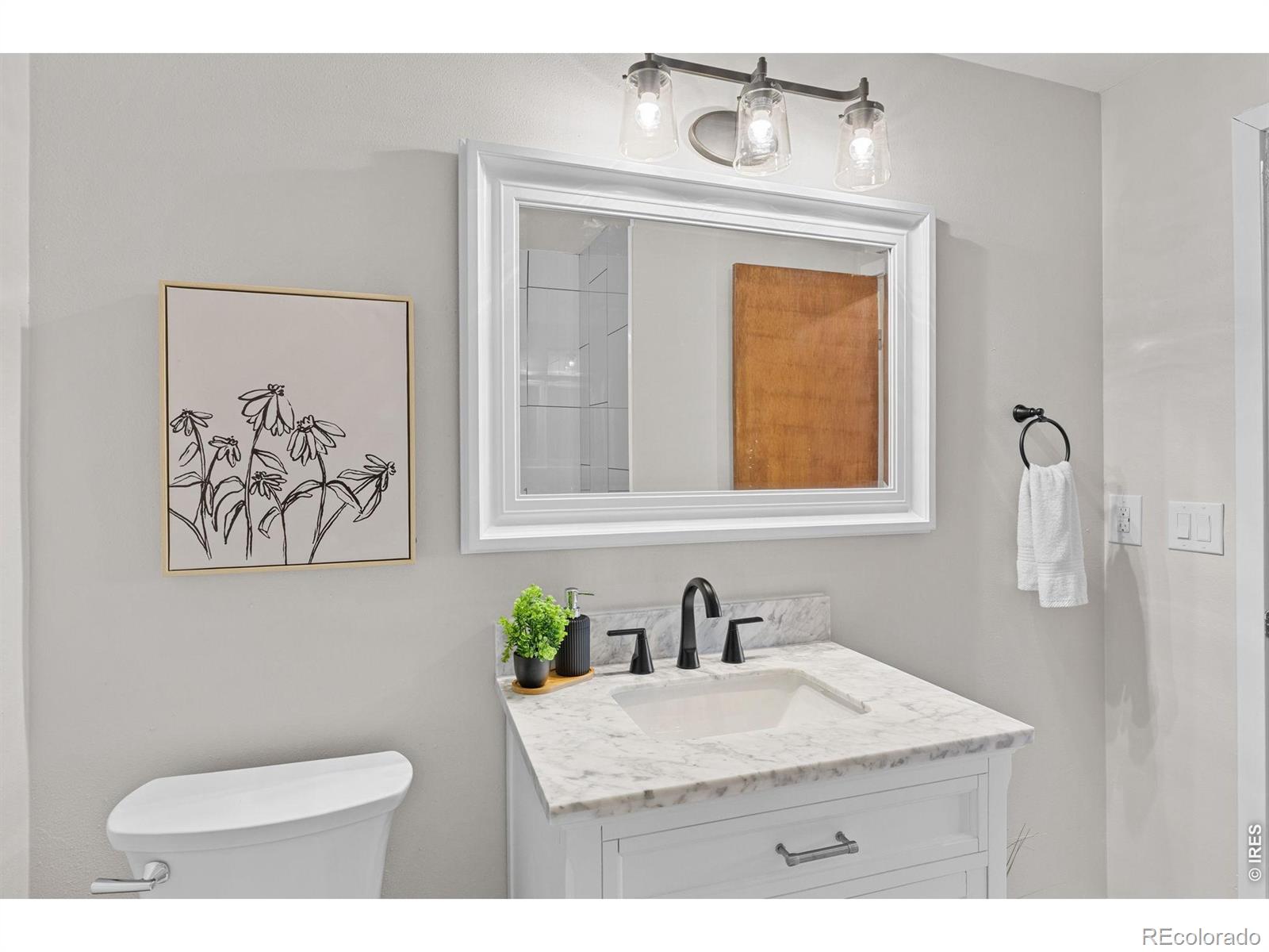 MLS Image #32 for 1010 s terry street,longmont, Colorado