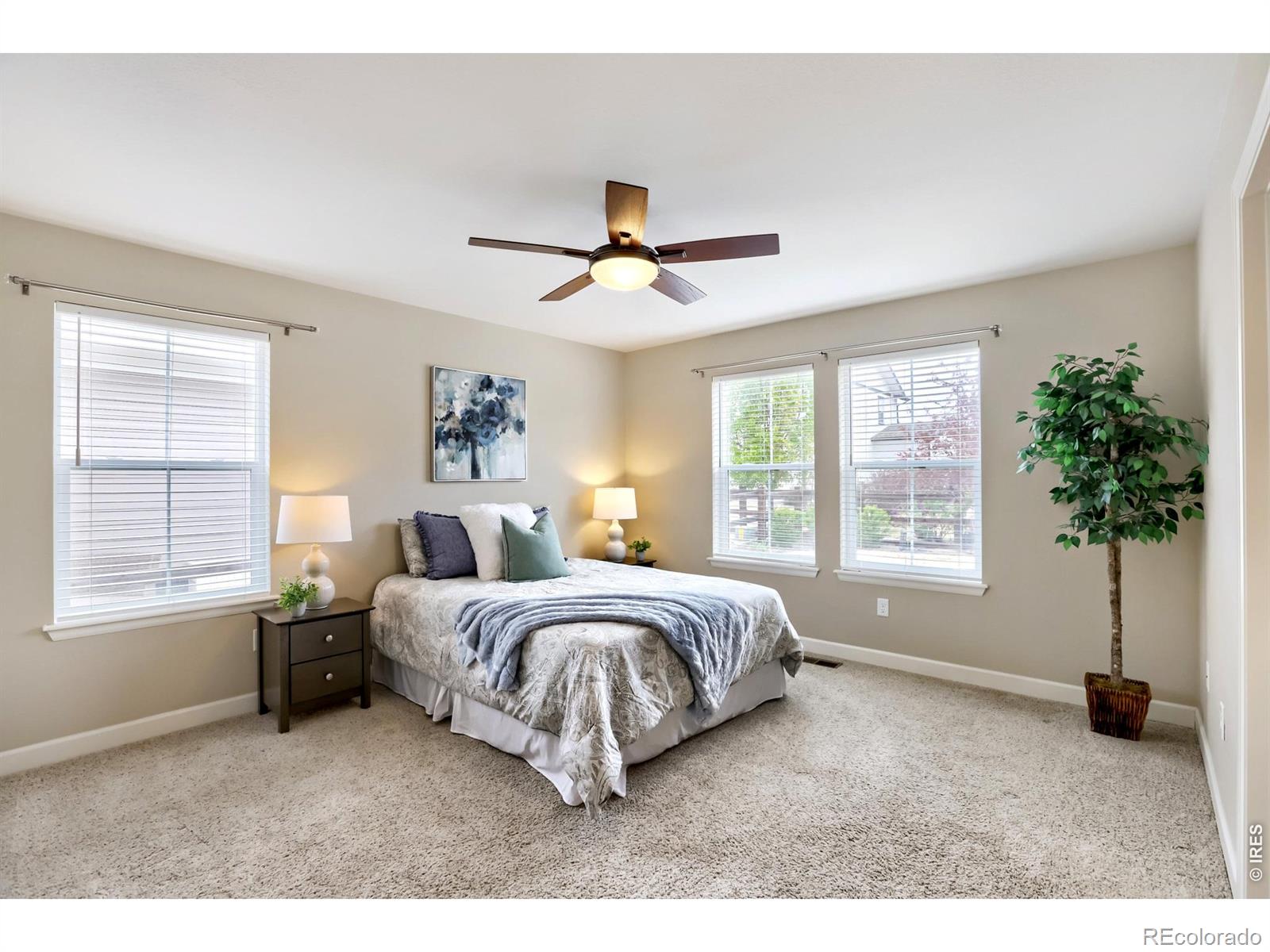 MLS Image #15 for 4573  clear creek drive,longmont, Colorado