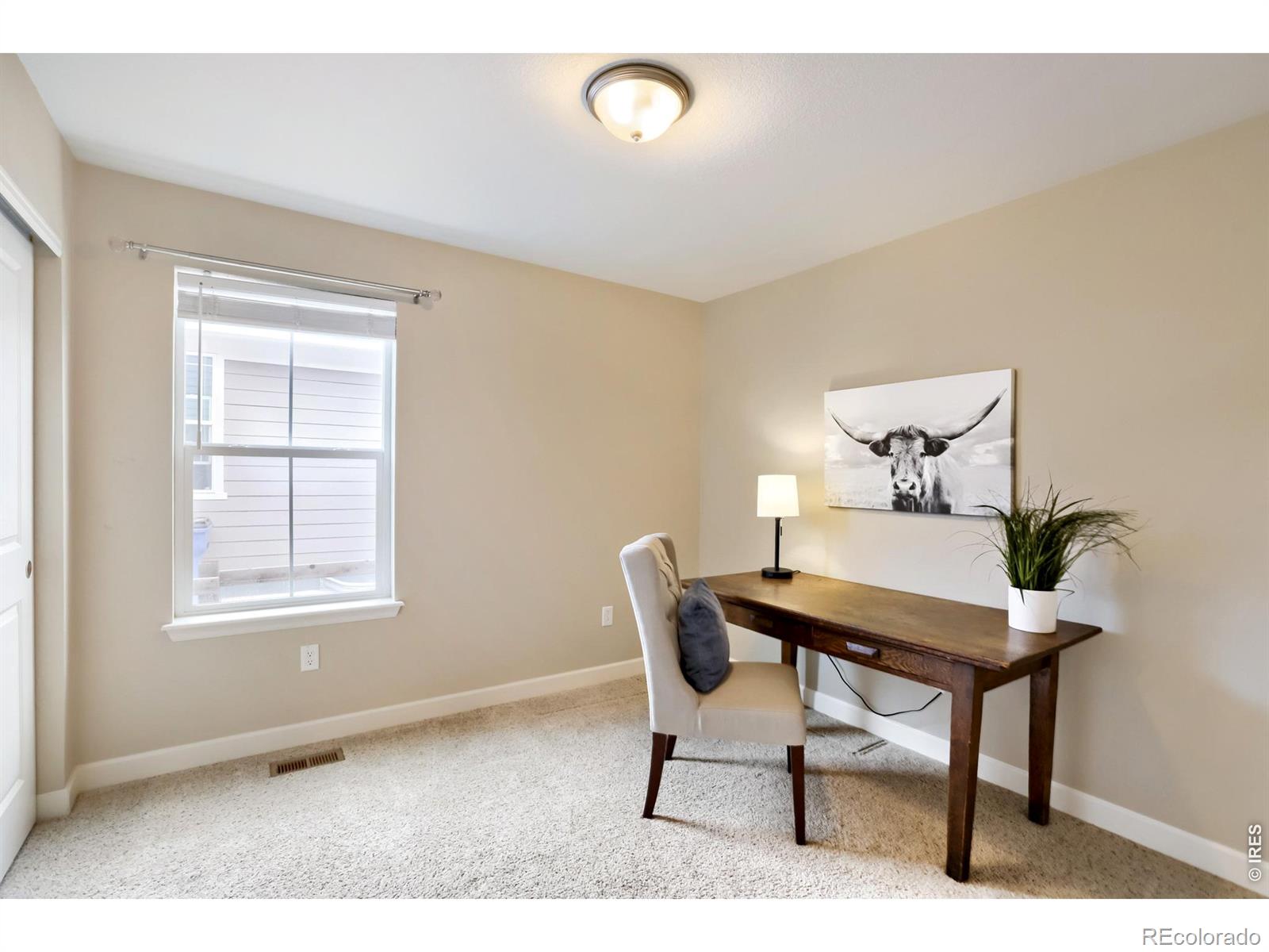 MLS Image #24 for 4573  clear creek drive,longmont, Colorado