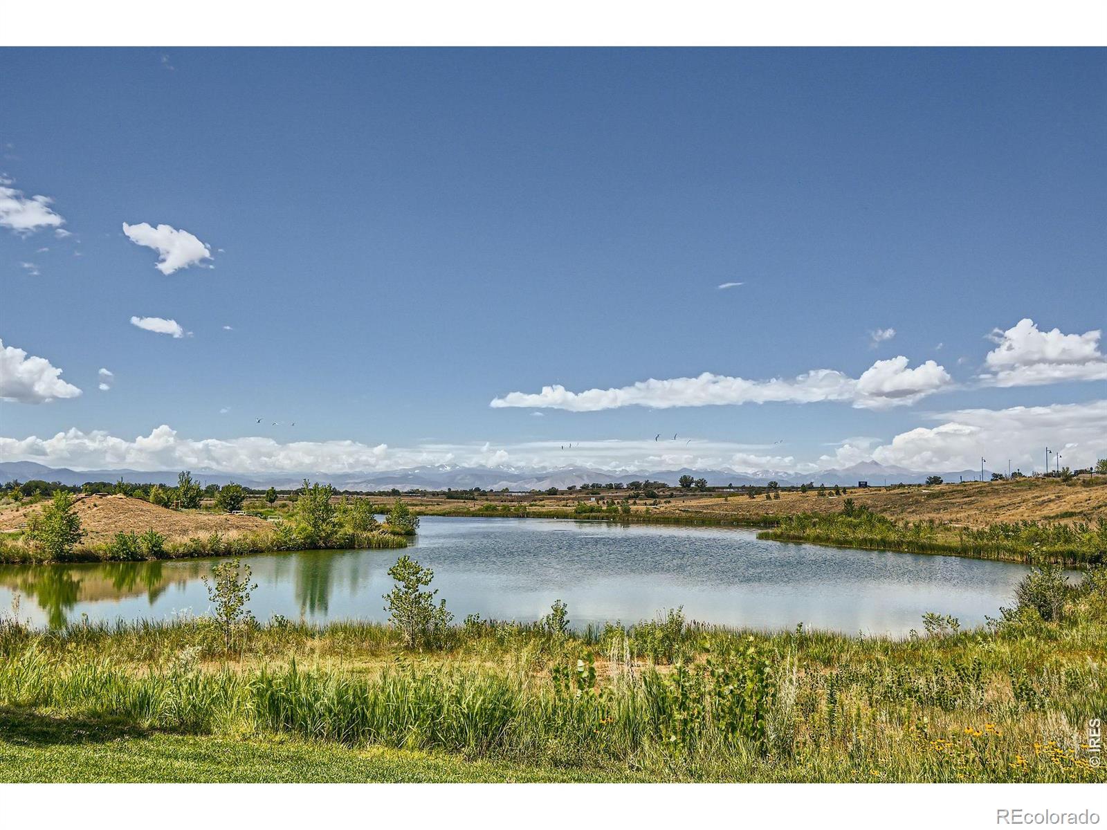 MLS Image #33 for 4573  clear creek drive,longmont, Colorado