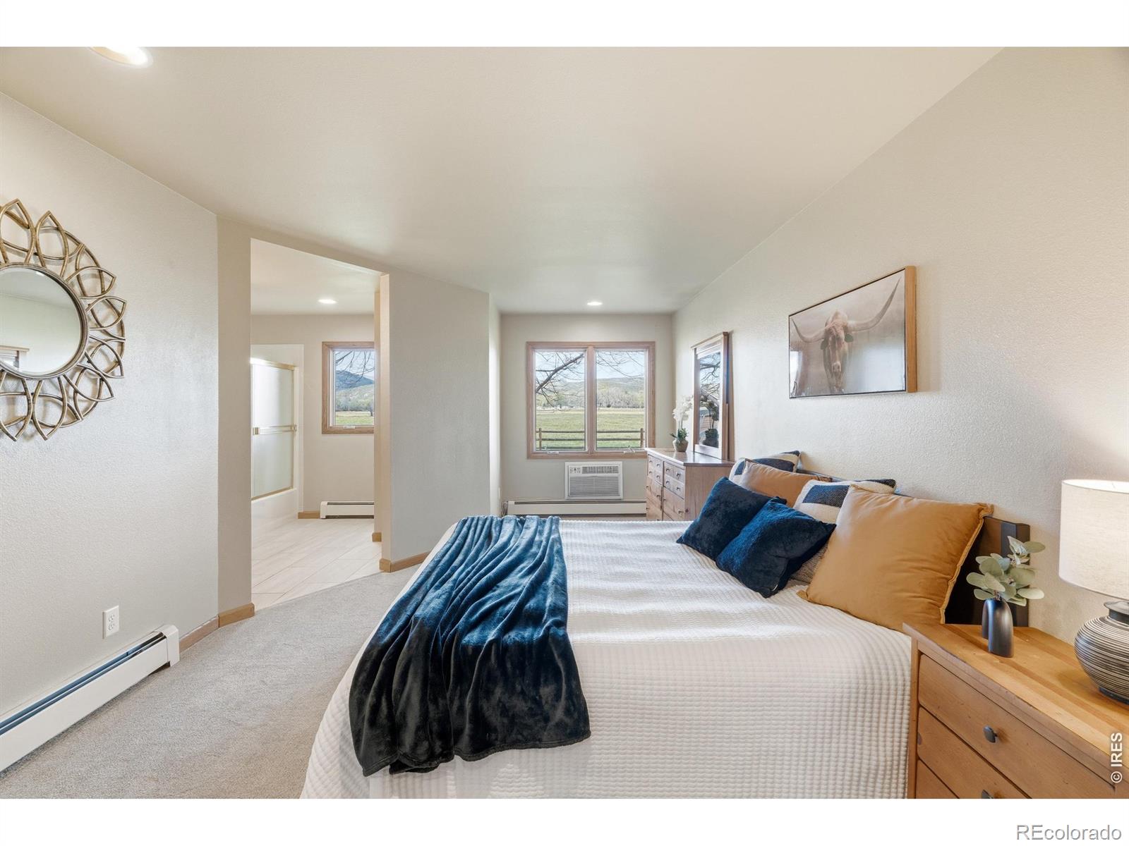 MLS Image #10 for 3501  galway drive,laporte, Colorado