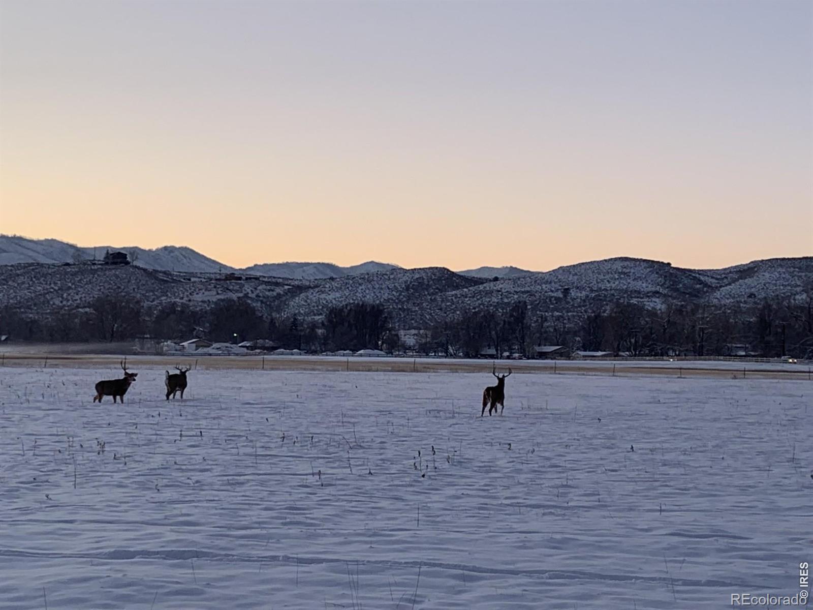 MLS Image #37 for 3501  galway drive,laporte, Colorado