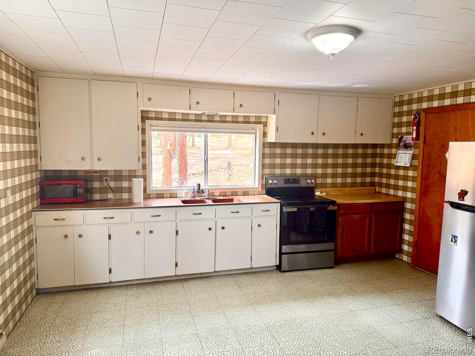 MLS Image #4 for 60  pine nut lane,red feather lakes, Colorado