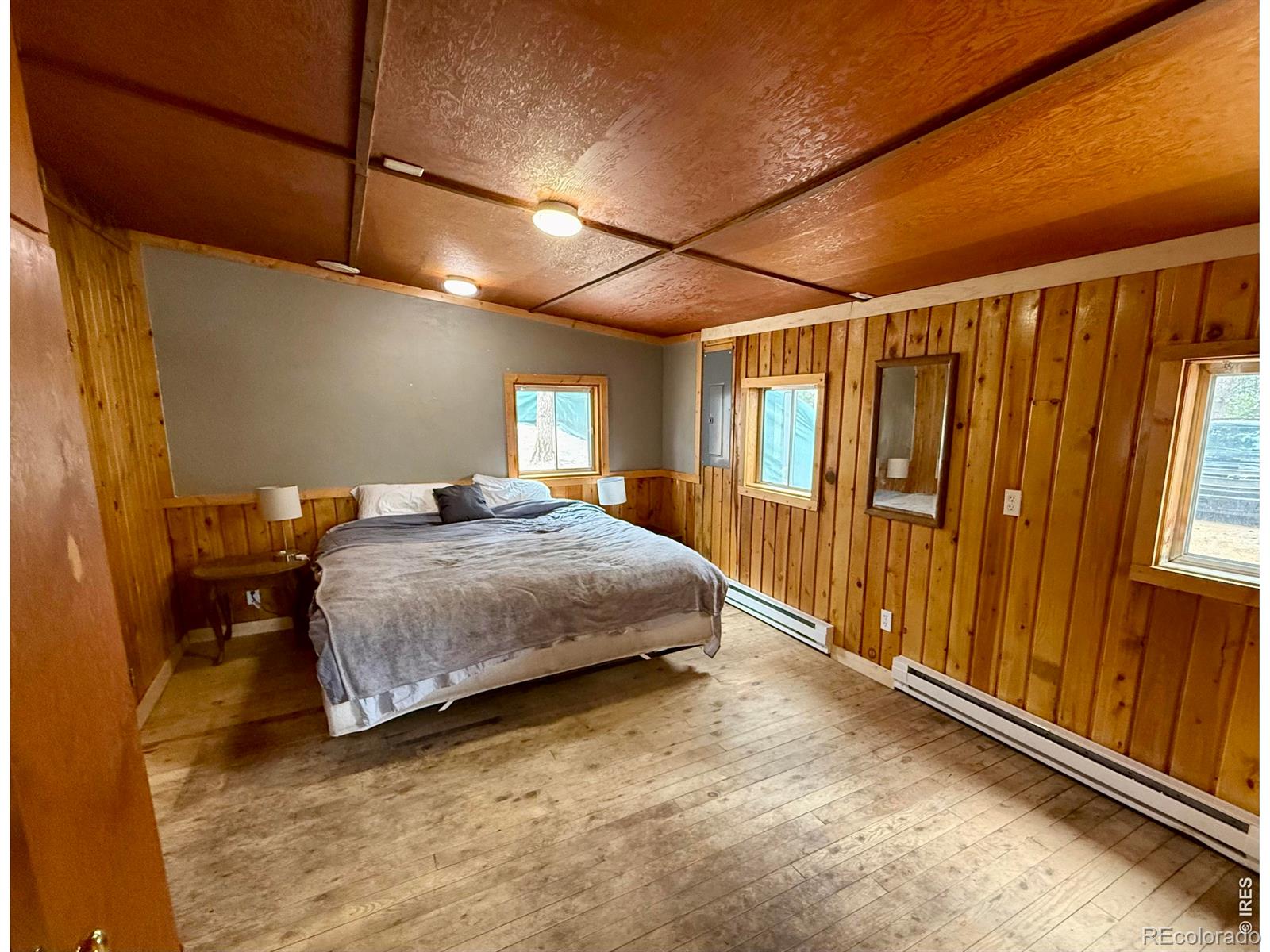 MLS Image #7 for 60  pine nut lane,red feather lakes, Colorado