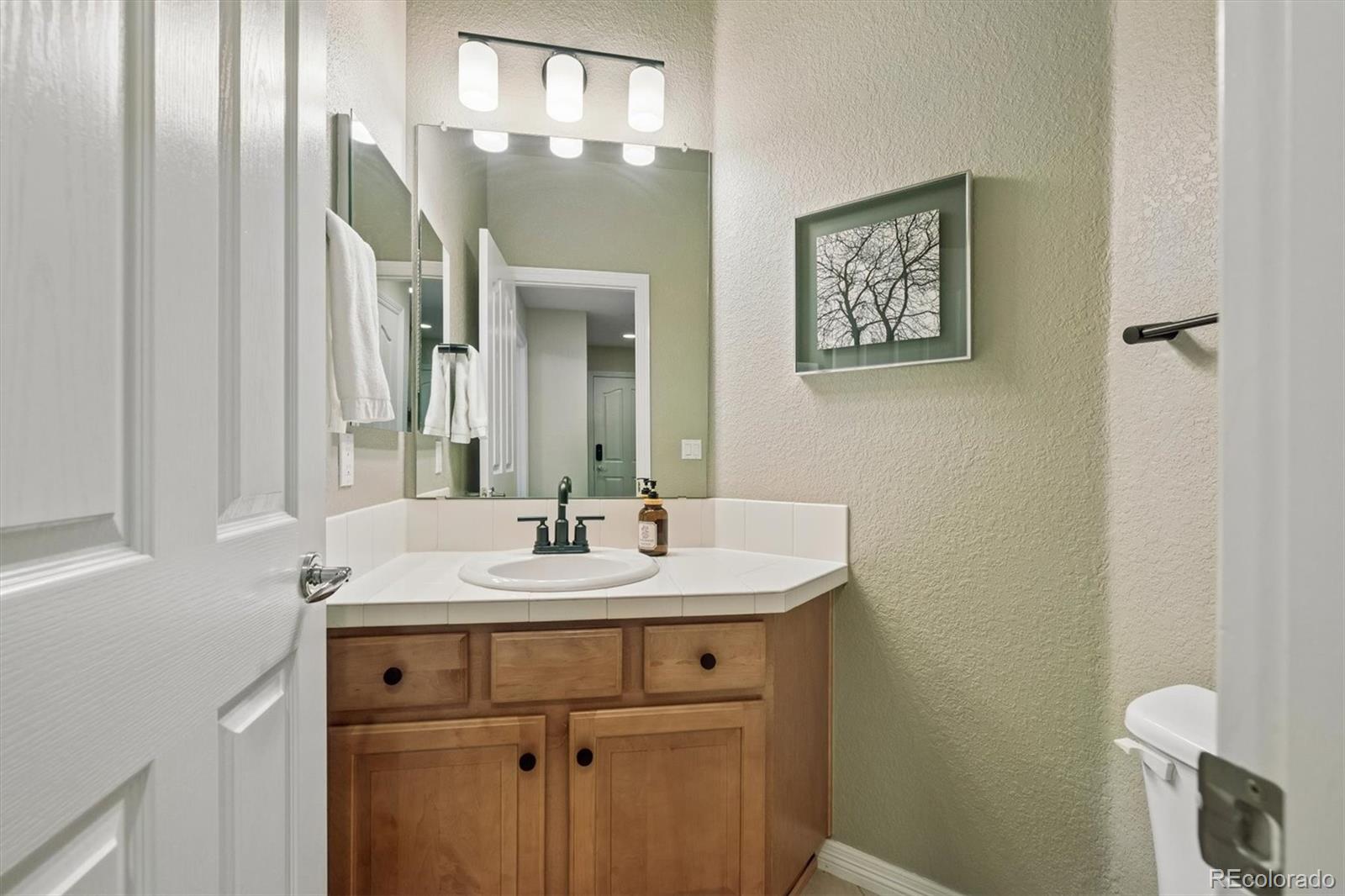 MLS Image #21 for 2677  pemberly avenue,highlands ranch, Colorado