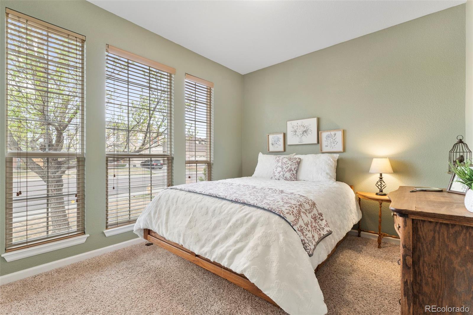 MLS Image #20 for 3457 e 123rd avenue,thornton, Colorado