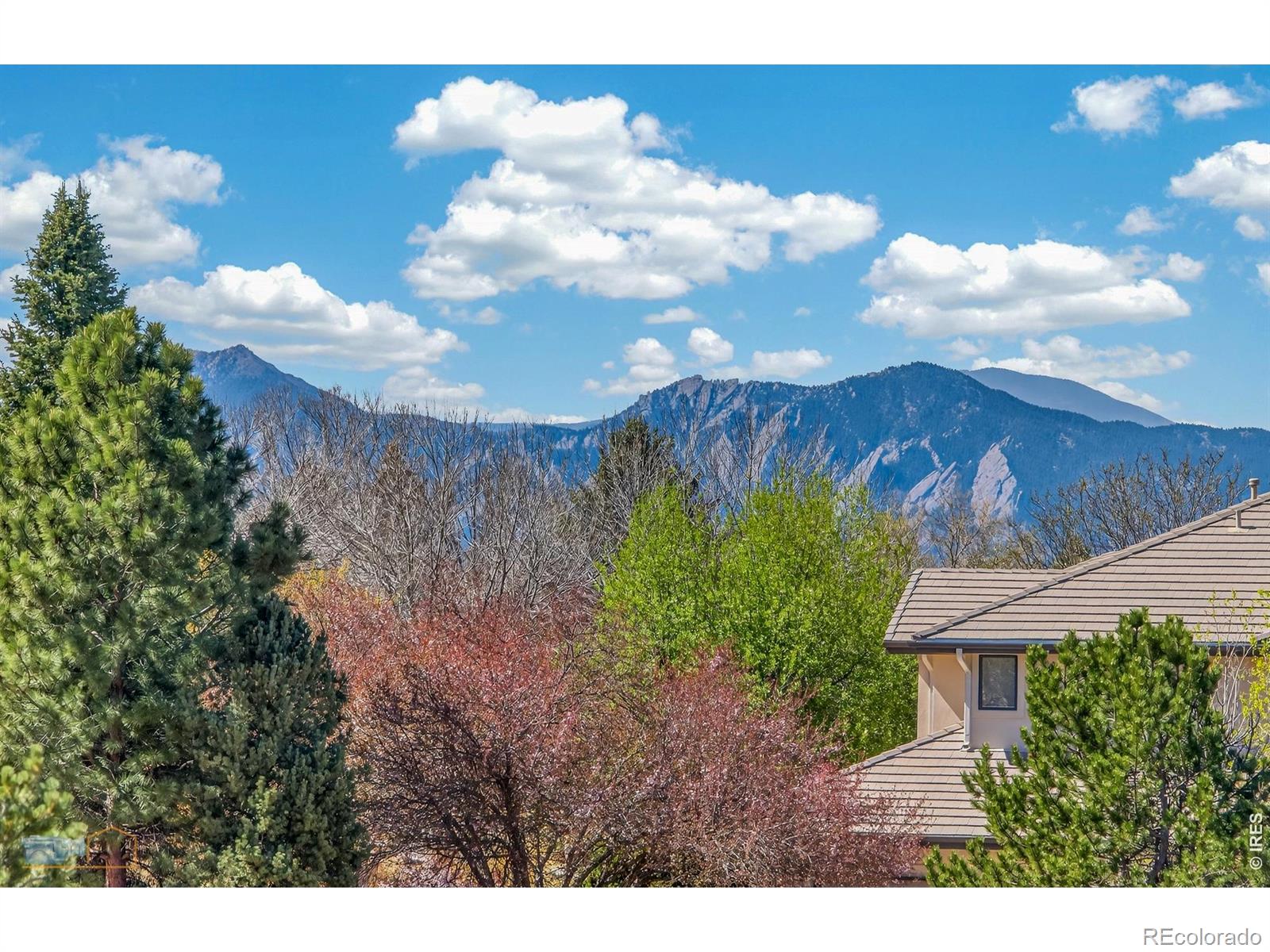 MLS Image #19 for 8312  greenwood drive,niwot, Colorado