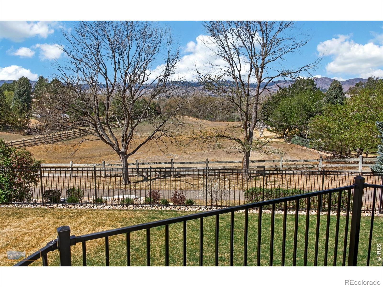 MLS Image #21 for 8312  greenwood drive,niwot, Colorado