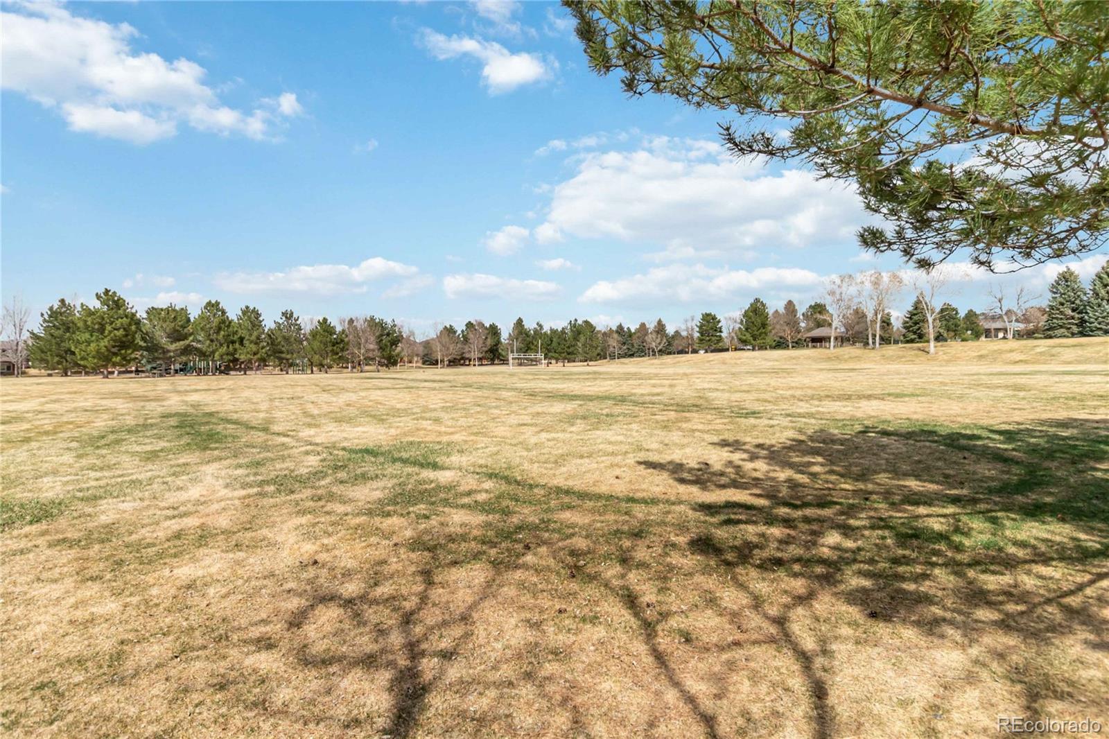 MLS Image #36 for 6404  silver mesa drive,highlands ranch, Colorado