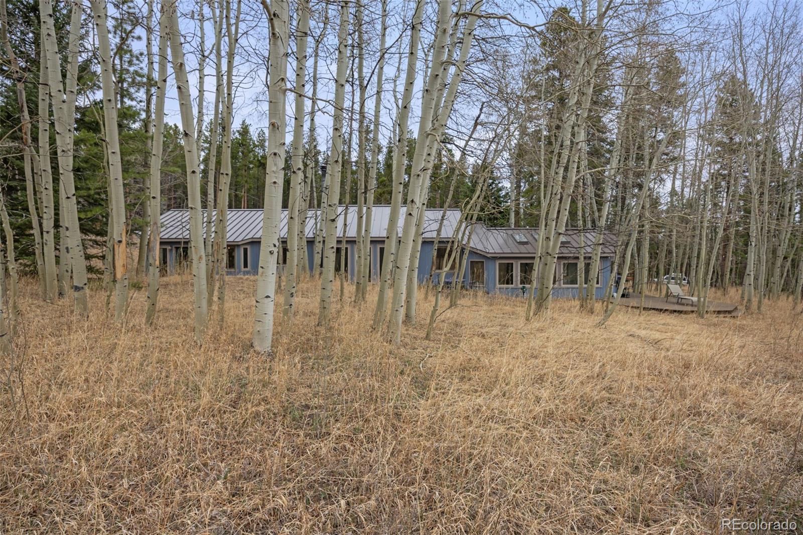 MLS Image #1 for 438 n county road,rollinsville, Colorado