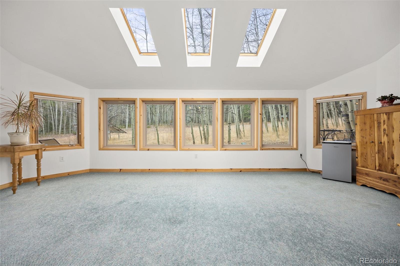 MLS Image #19 for 438 n county road,rollinsville, Colorado