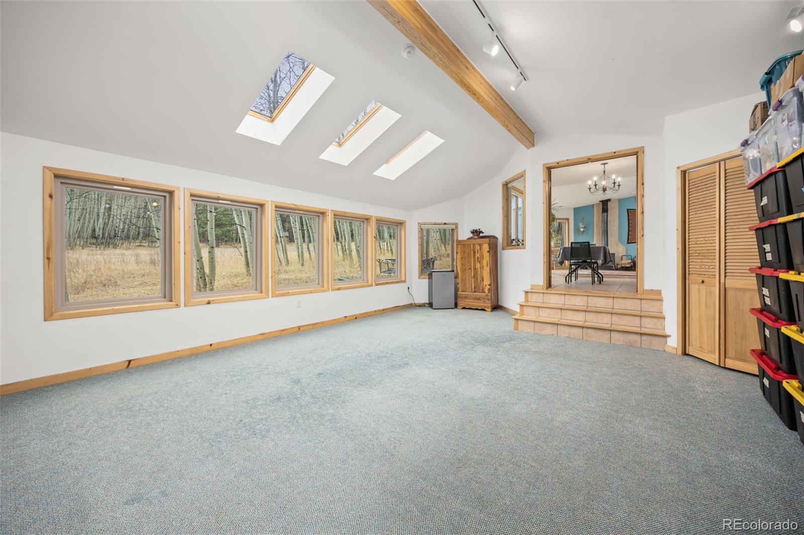 MLS Image #21 for 438 n county road,rollinsville, Colorado