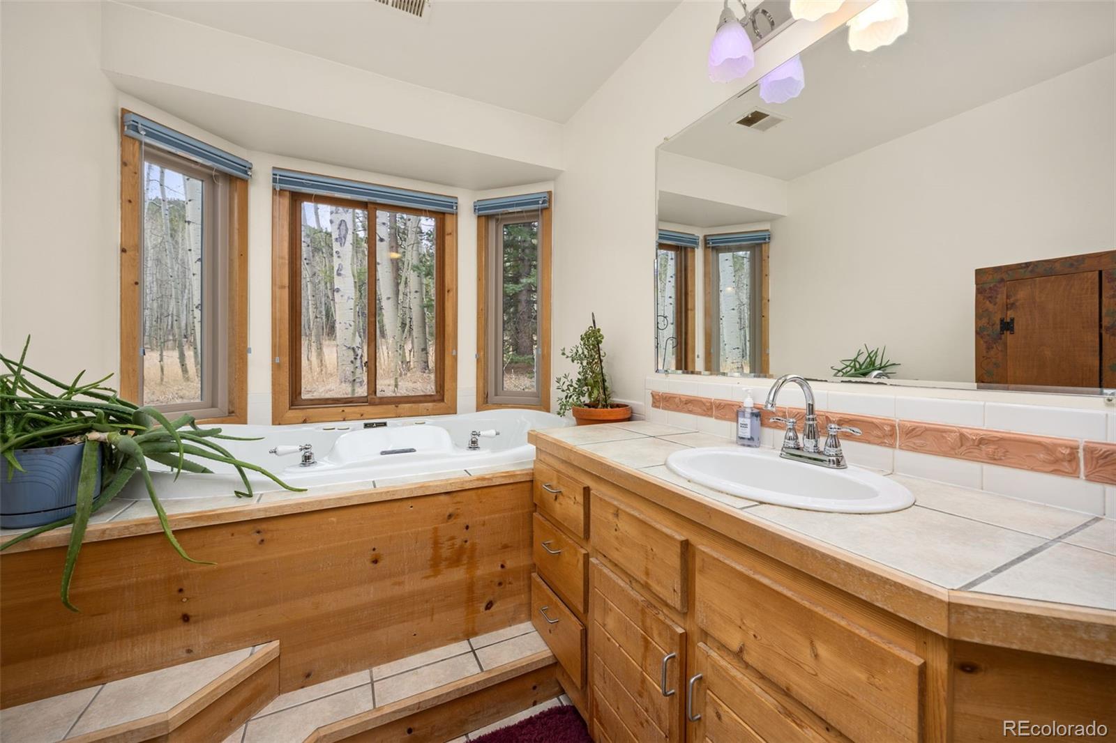 MLS Image #26 for 438 n county road,rollinsville, Colorado