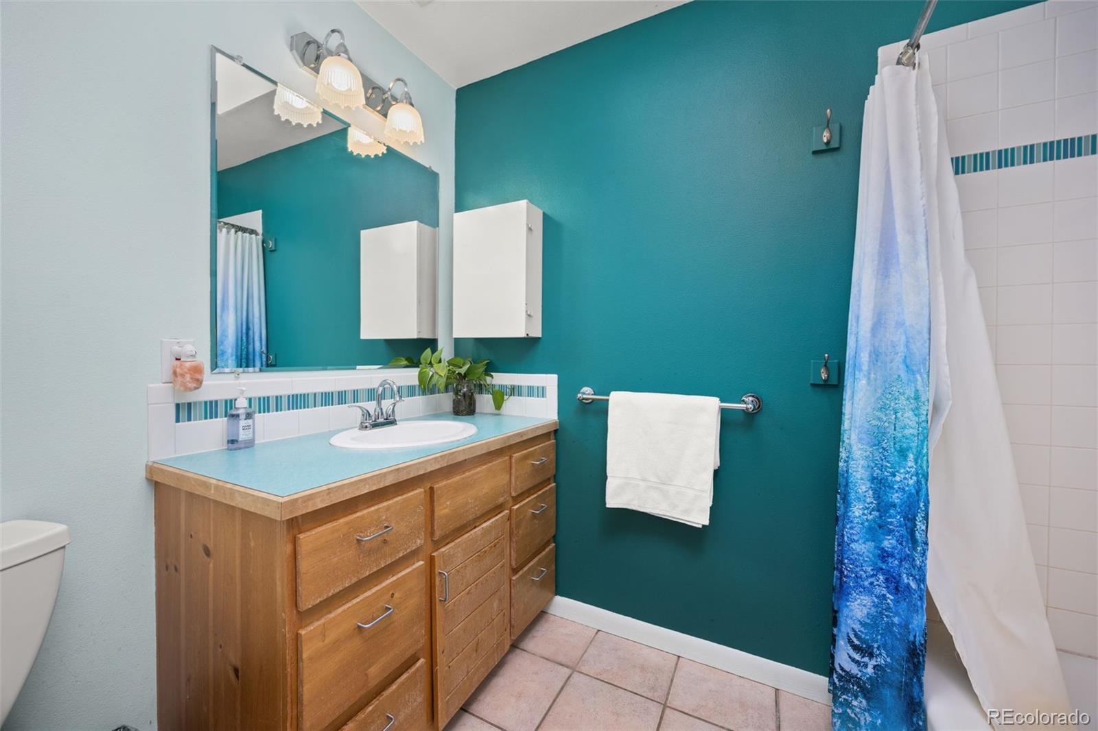 MLS Image #30 for 438 n county road,rollinsville, Colorado