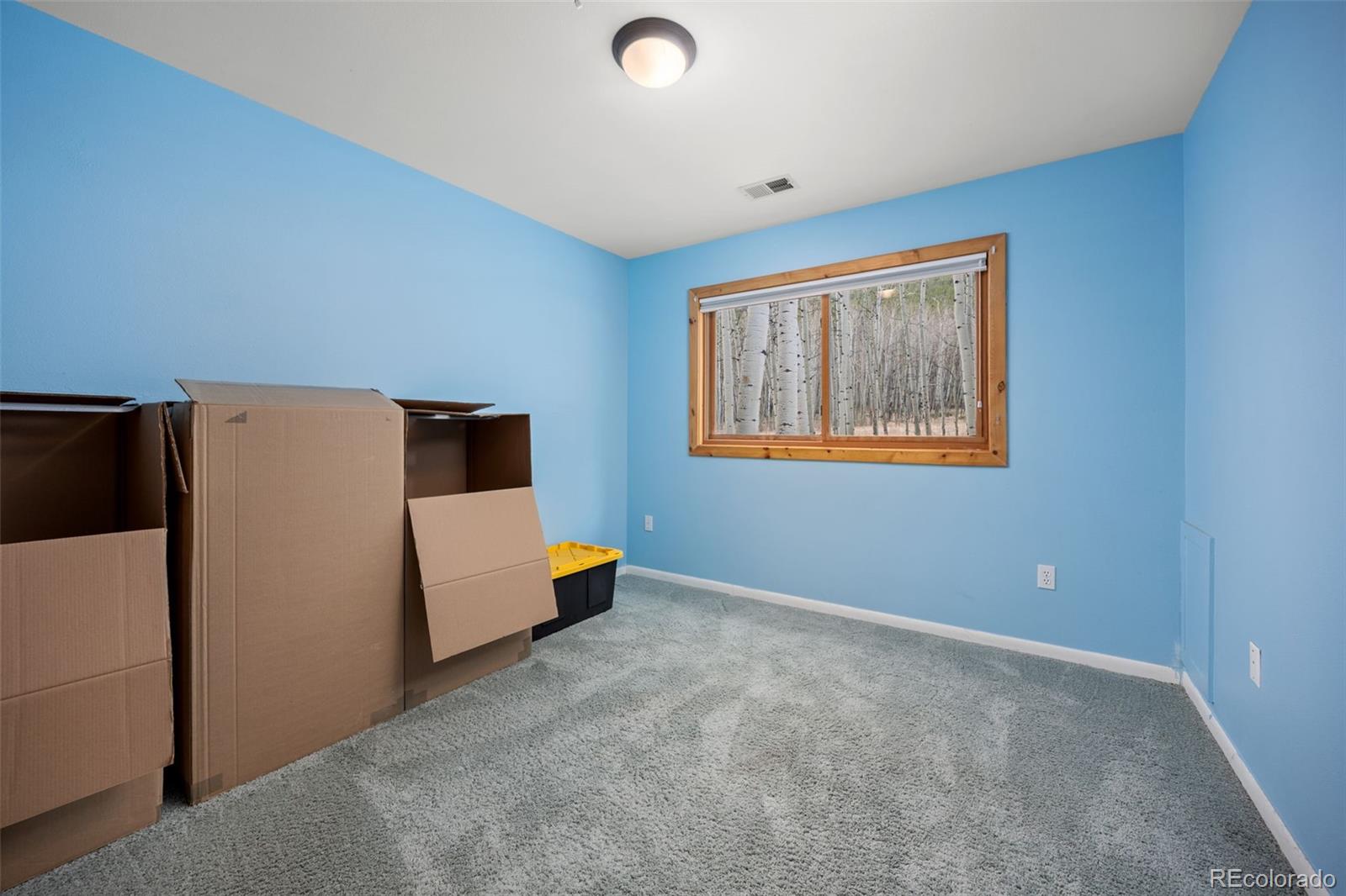 MLS Image #31 for 438 n county road,rollinsville, Colorado