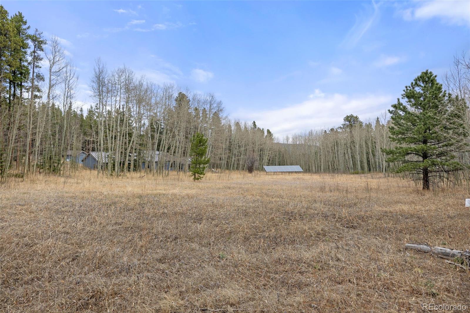 MLS Image #33 for 438 n county road,rollinsville, Colorado