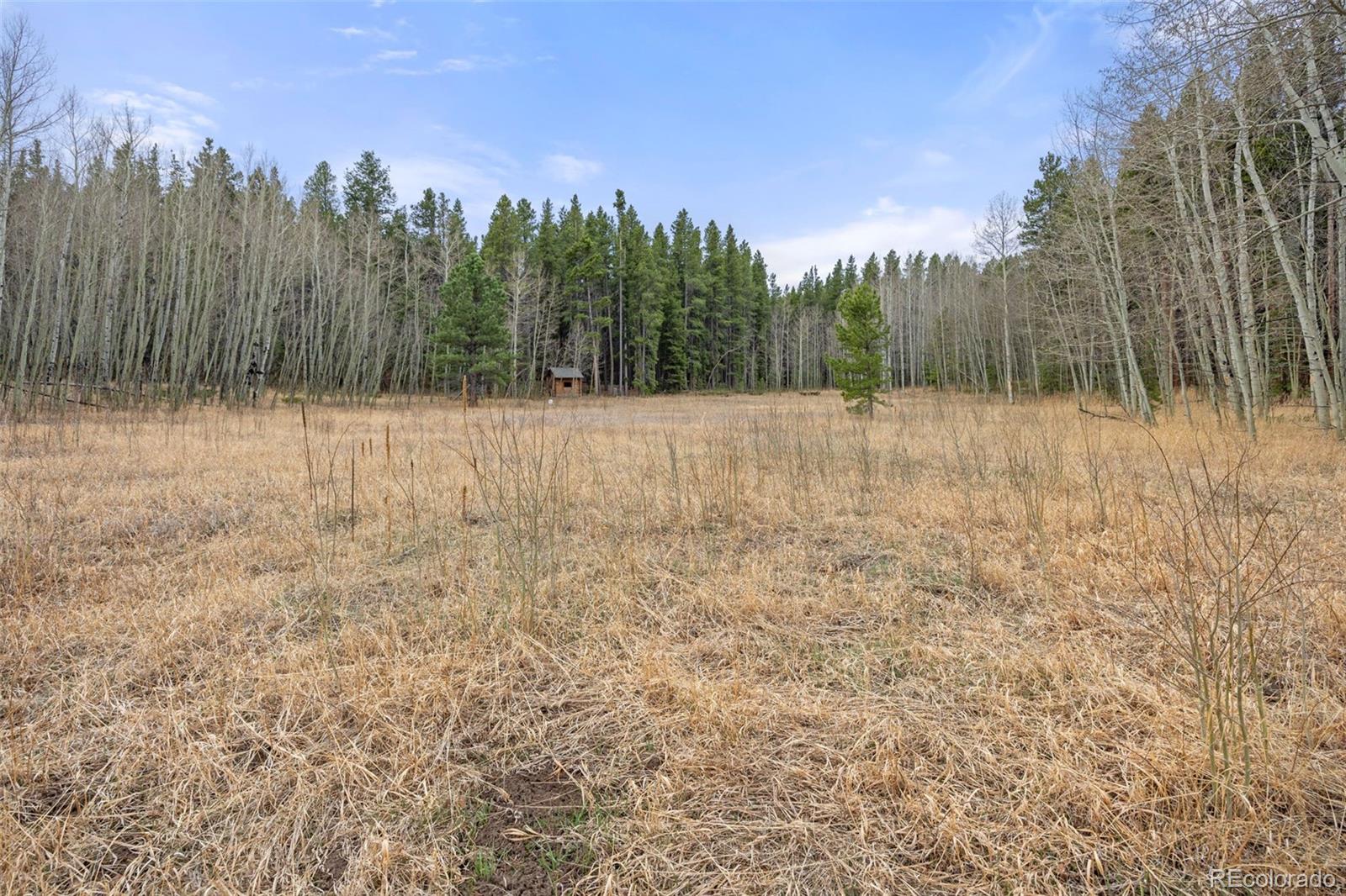 MLS Image #36 for 438 n county road,rollinsville, Colorado