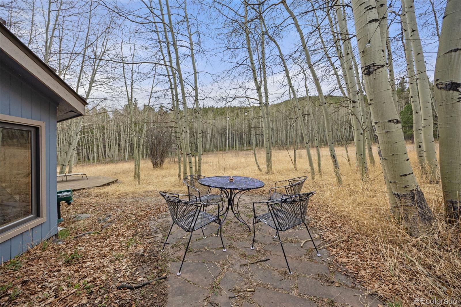 MLS Image #5 for 438 n county road,rollinsville, Colorado