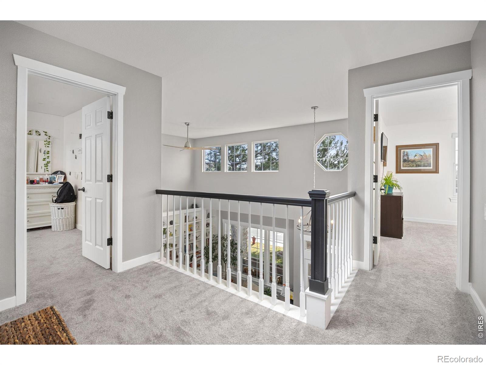 MLS Image #17 for 676  trappers place,windsor, Colorado