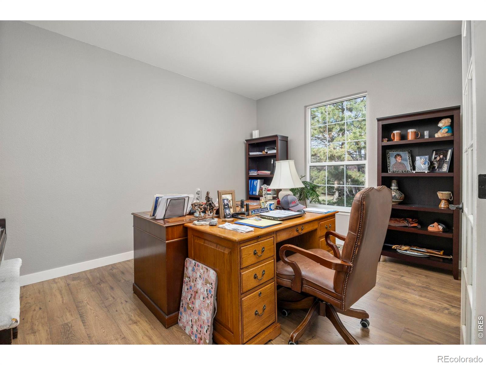 MLS Image #9 for 676  trappers place,windsor, Colorado