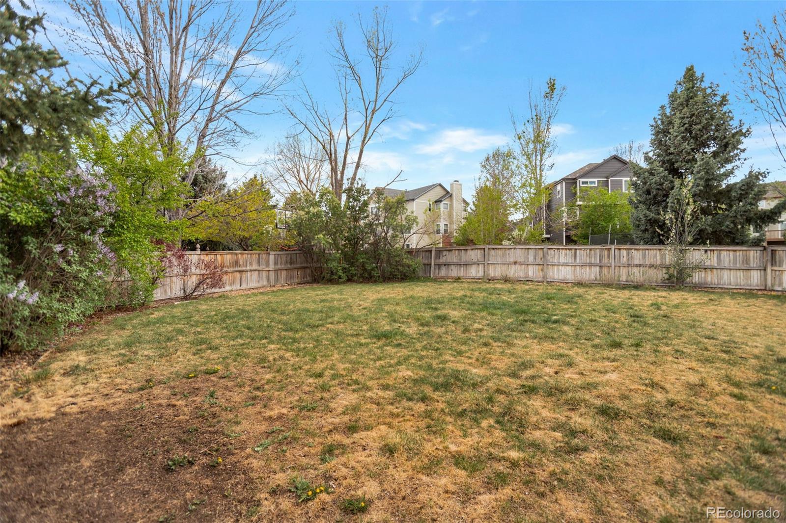 MLS Image #38 for 10420  white pine drive,parker, Colorado
