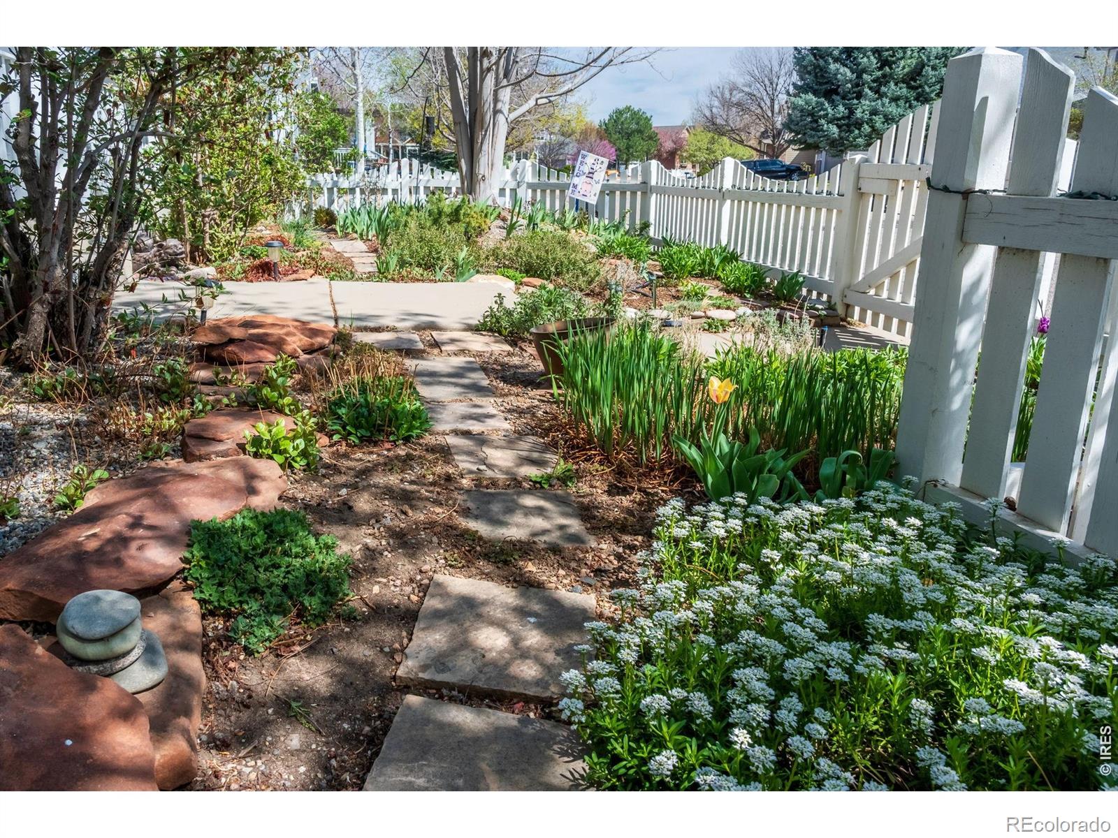 MLS Image #40 for 2112  pintail drive,longmont, Colorado