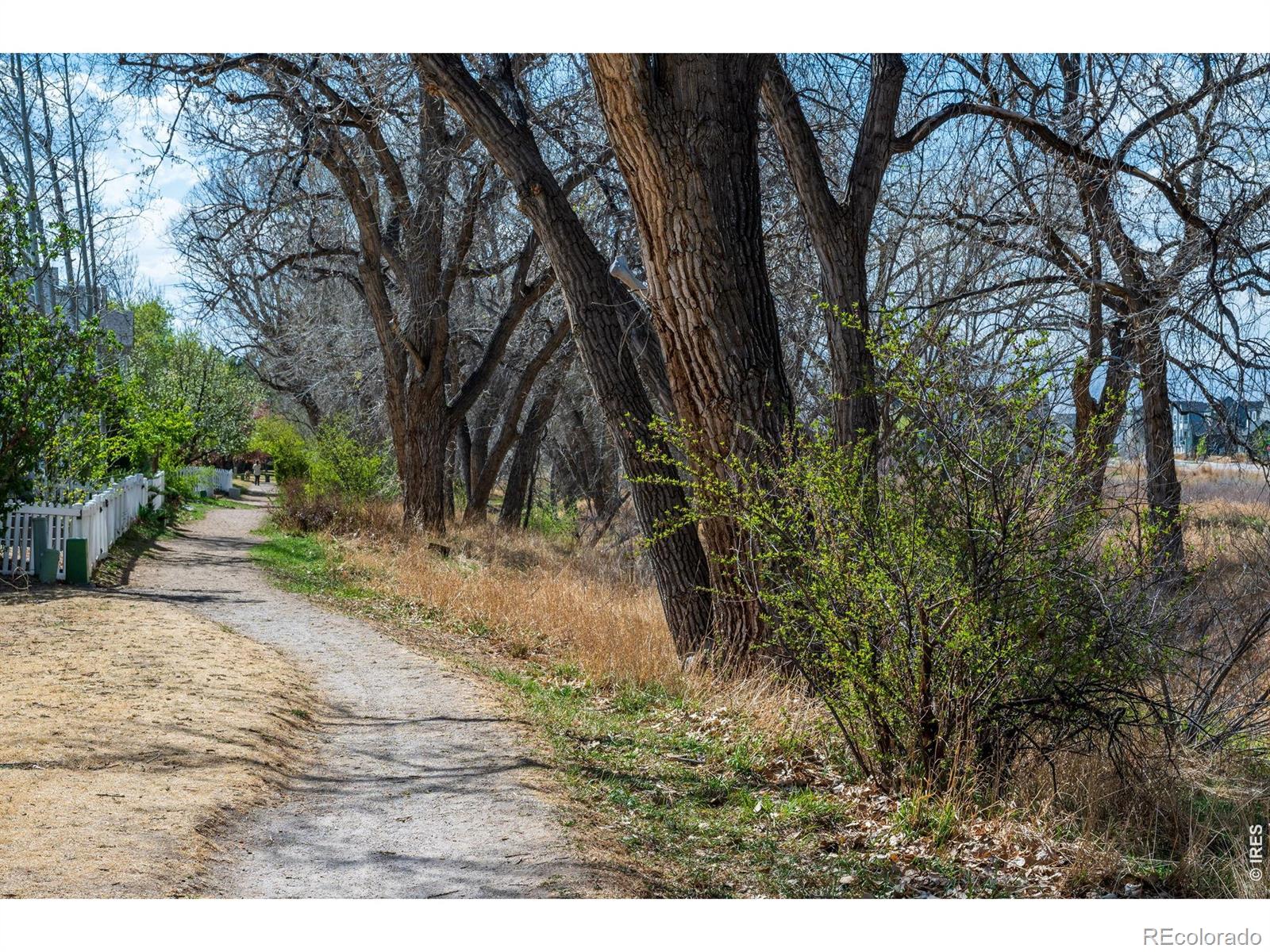 MLS Image #45 for 2112  pintail drive,longmont, Colorado