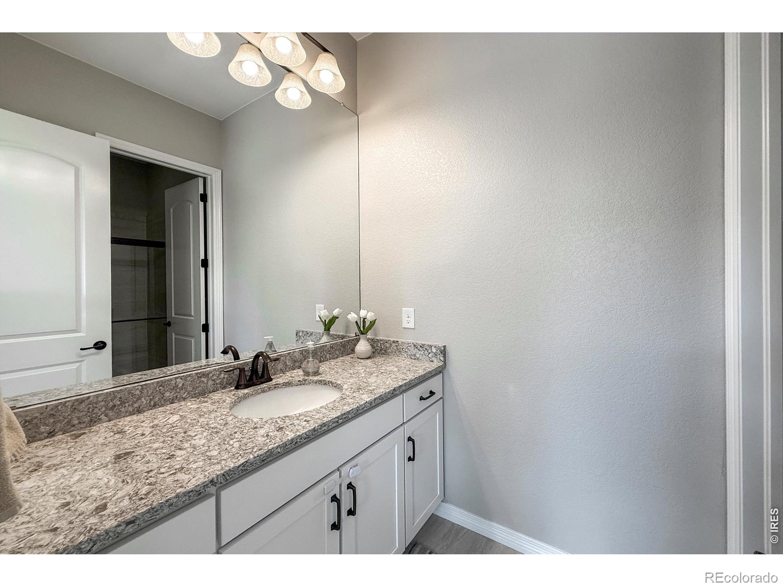 MLS Image #38 for 16043  swan mountain drive,broomfield, Colorado