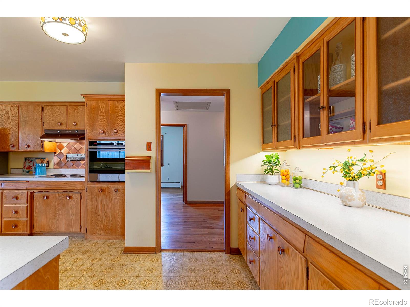 MLS Image #19 for 1009  corey street,longmont, Colorado