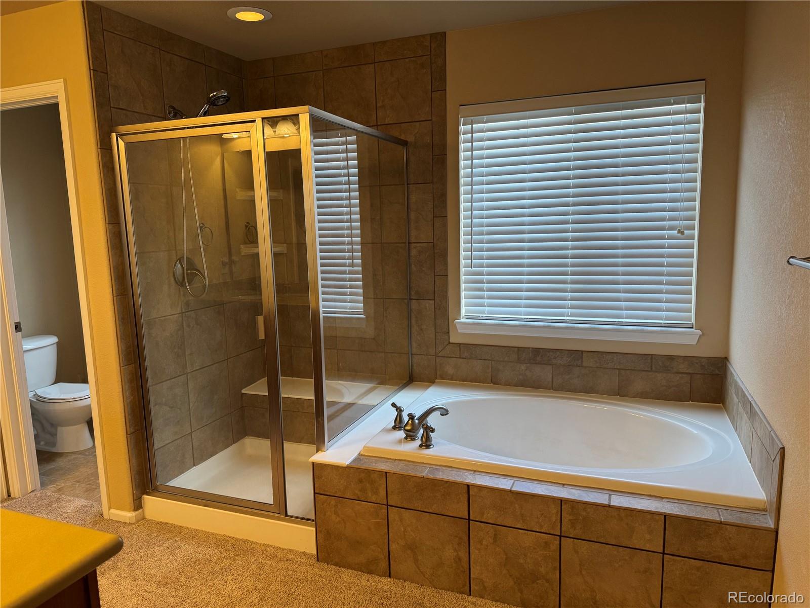 MLS Image #19 for 21235 e grand drive,aurora, Colorado