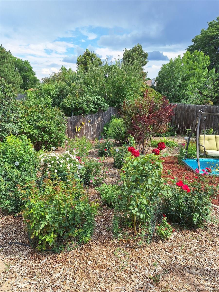 MLS Image #32 for 8202  ammons circle,arvada, Colorado