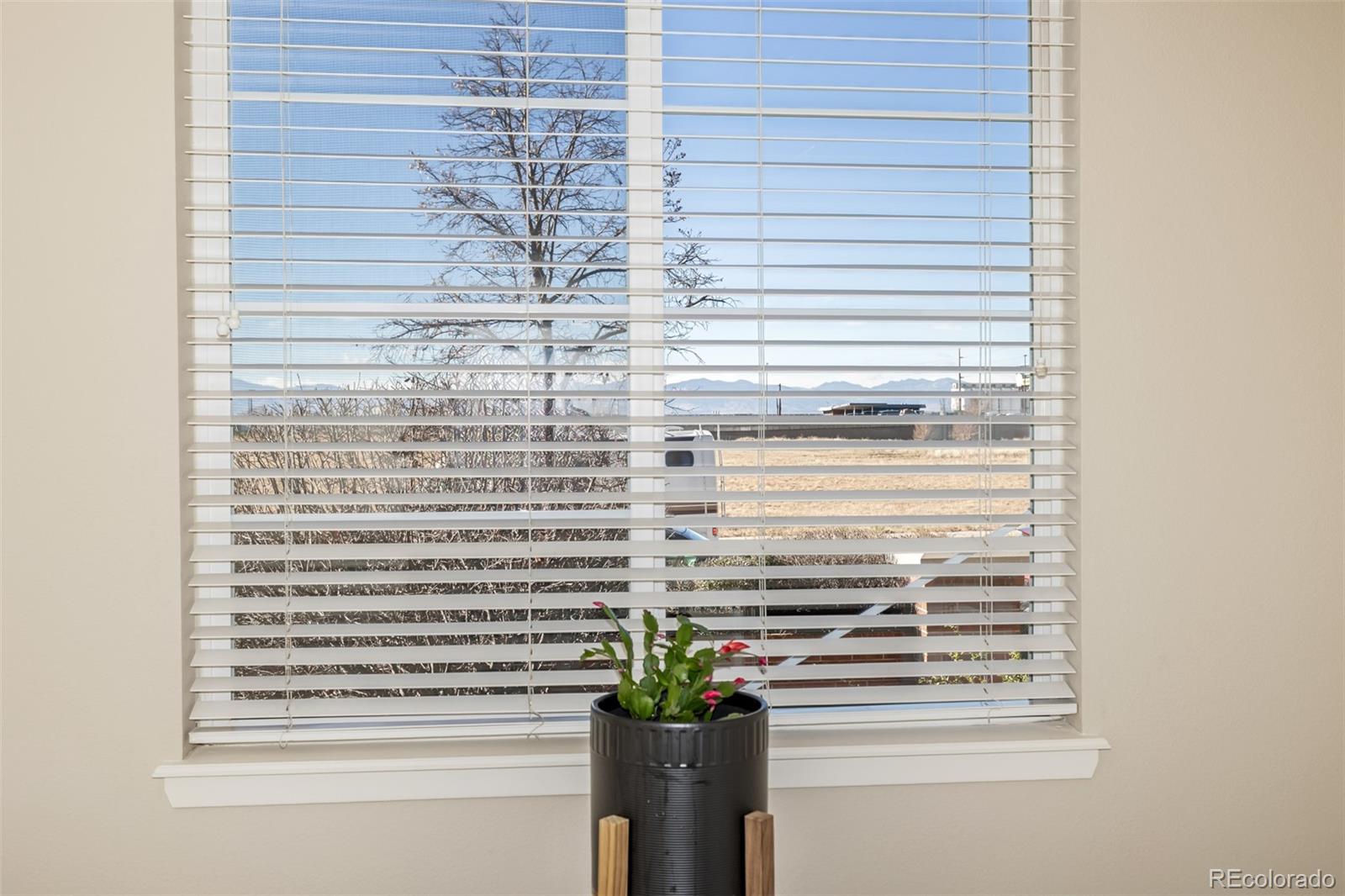 MLS Image #26 for 4100  albion street 109,denver, Colorado