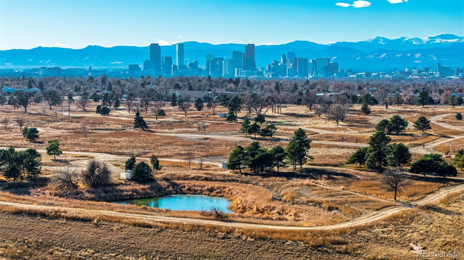 MLS Image #36 for 4100  albion street 109,denver, Colorado