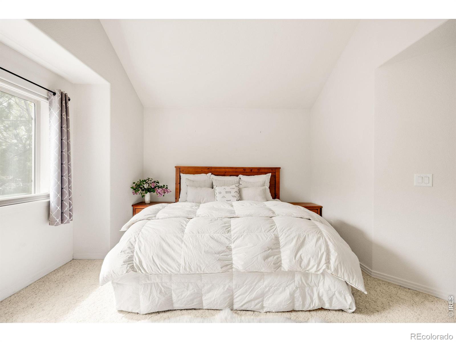 MLS Image #15 for 903  hover ridge circle,longmont, Colorado