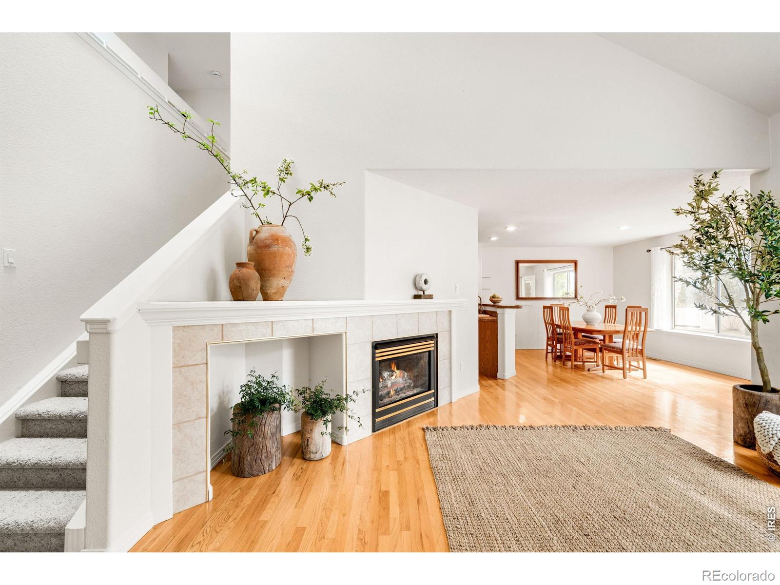 MLS Image #2 for 903  hover ridge circle,longmont, Colorado