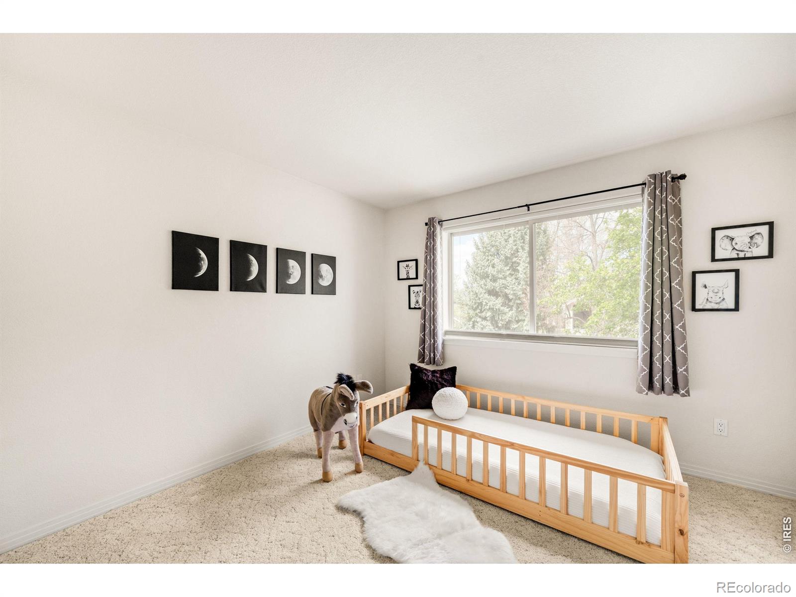 MLS Image #20 for 903  hover ridge circle,longmont, Colorado