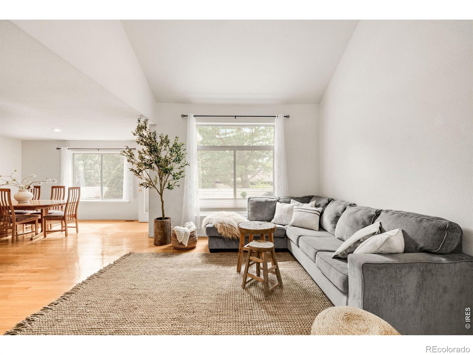 MLS Image #4 for 903  hover ridge circle,longmont, Colorado