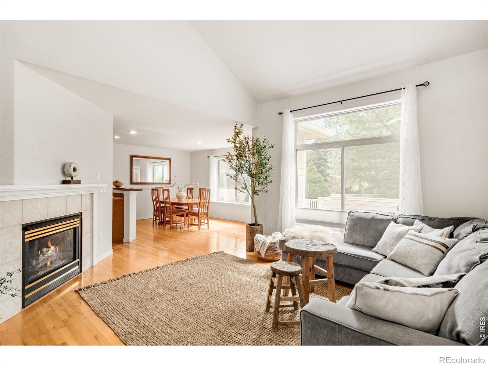 MLS Image #7 for 903  hover ridge circle,longmont, Colorado