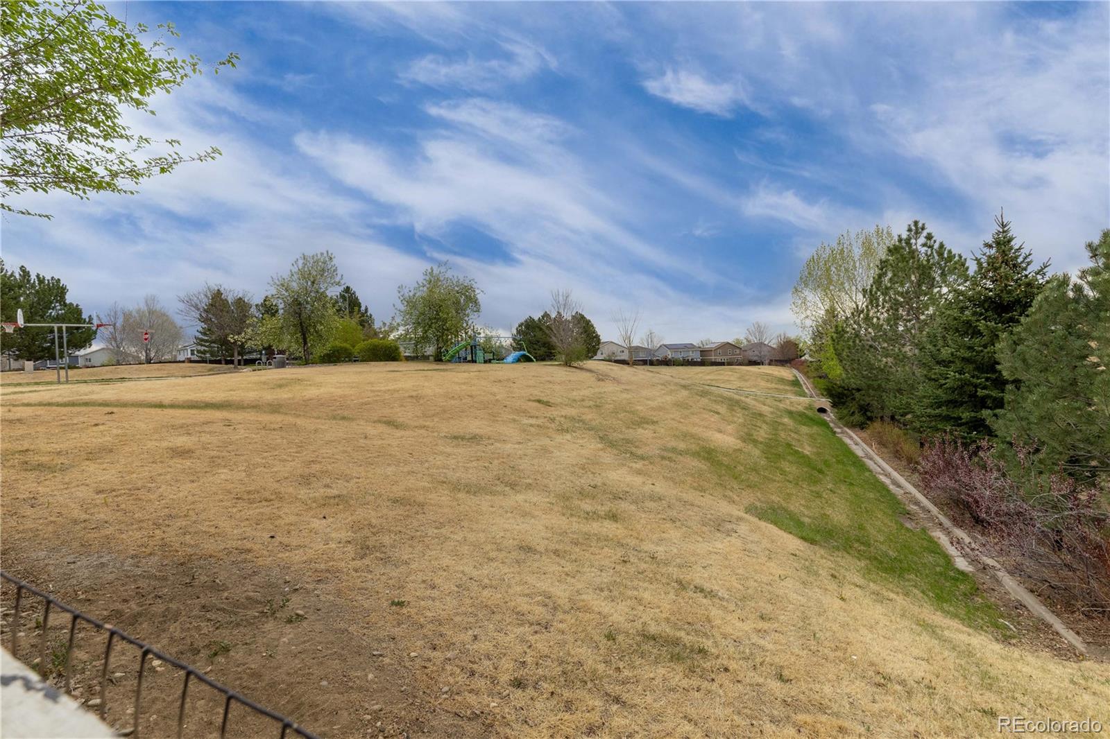 MLS Image #30 for 11036  columbine street ,northglenn, Colorado