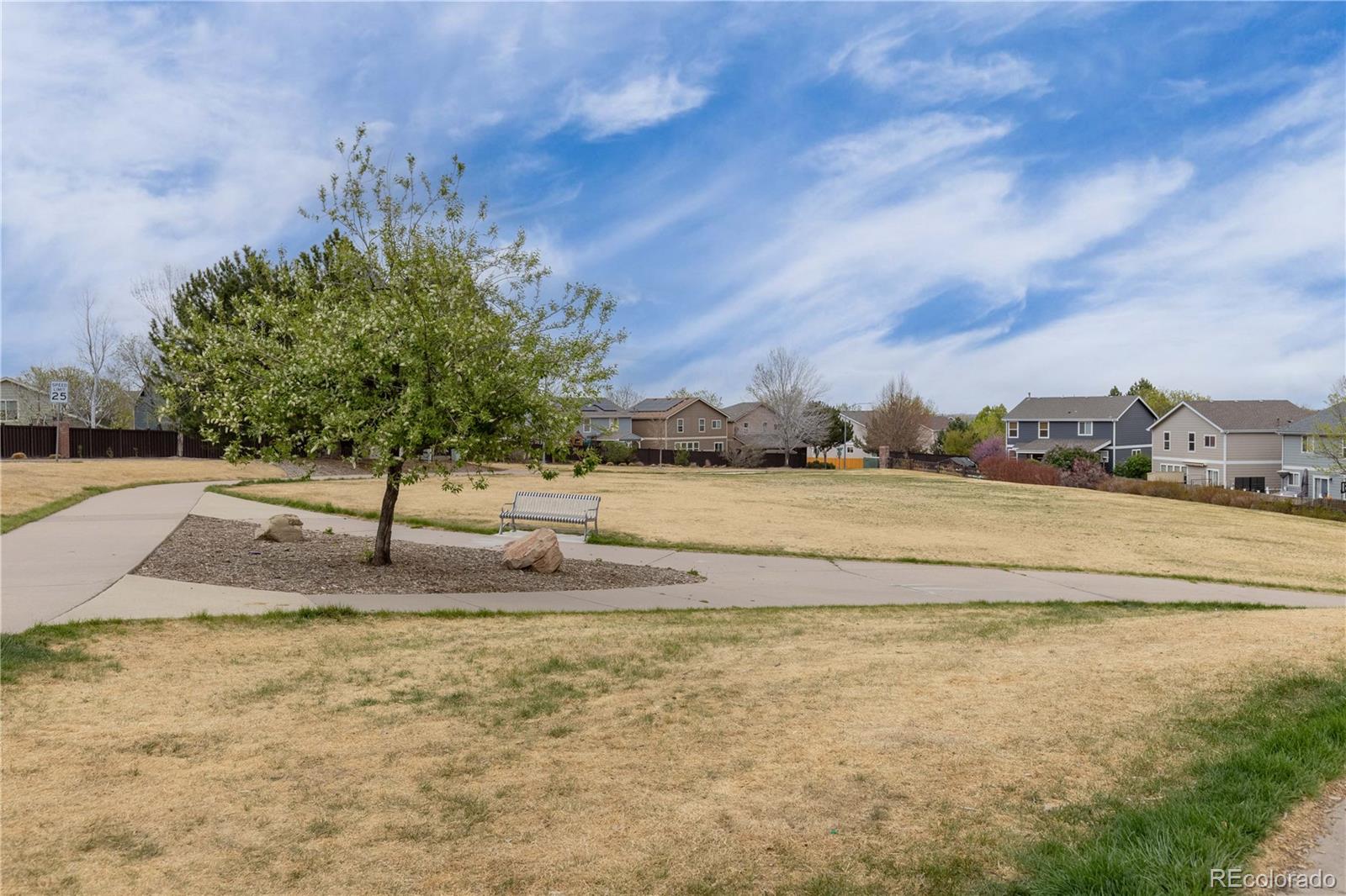 MLS Image #36 for 11036  columbine street ,northglenn, Colorado