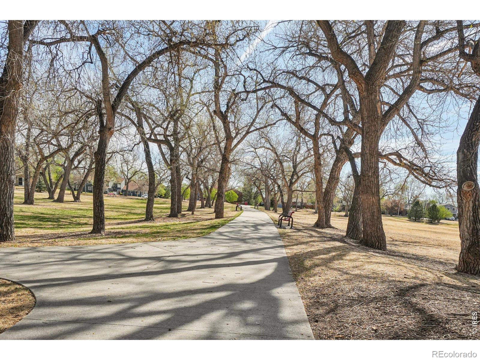 MLS Image #26 for 8441  everett way e,arvada, Colorado