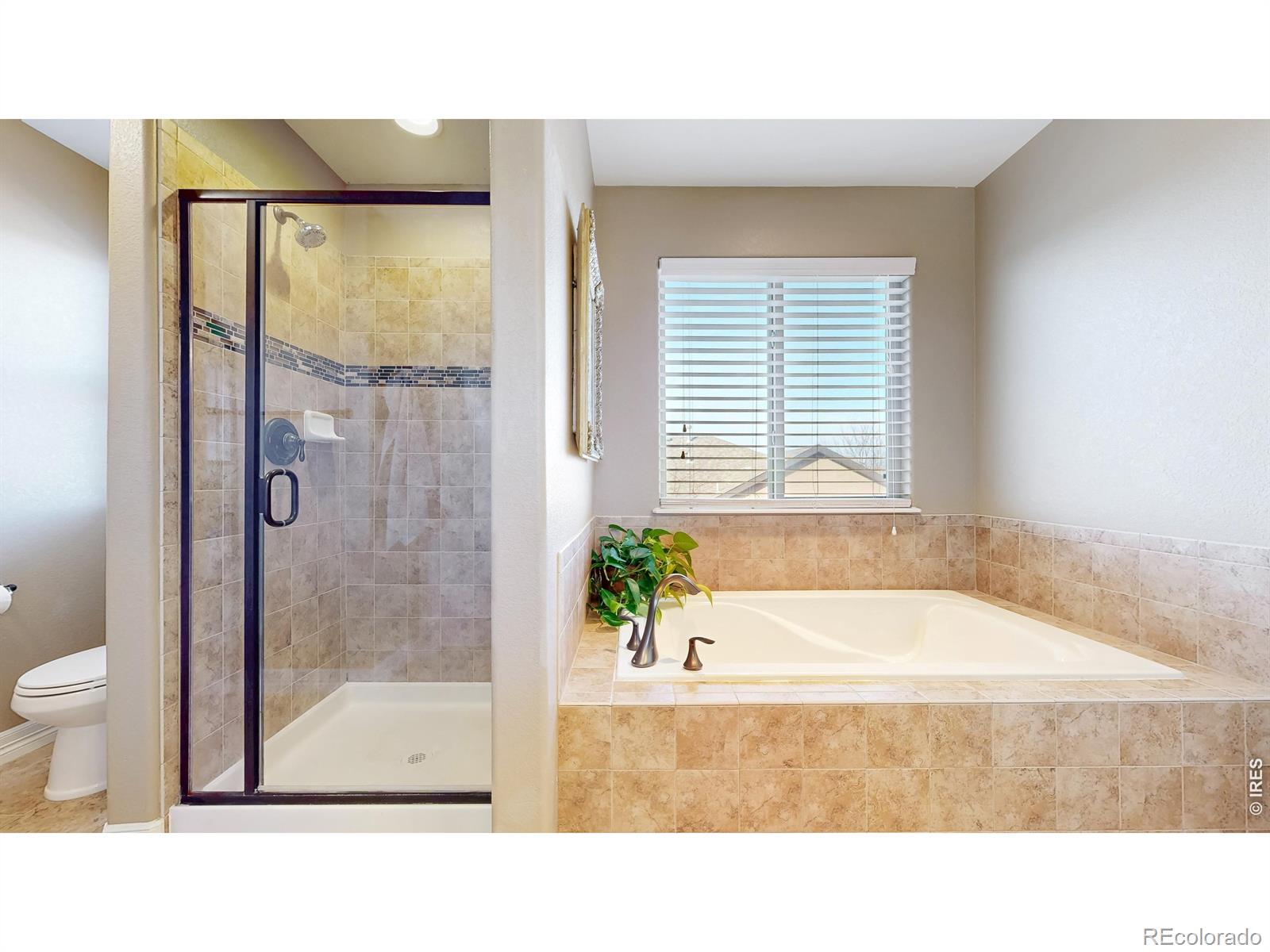 MLS Image #21 for 4719  tarragon drive,johnstown, Colorado
