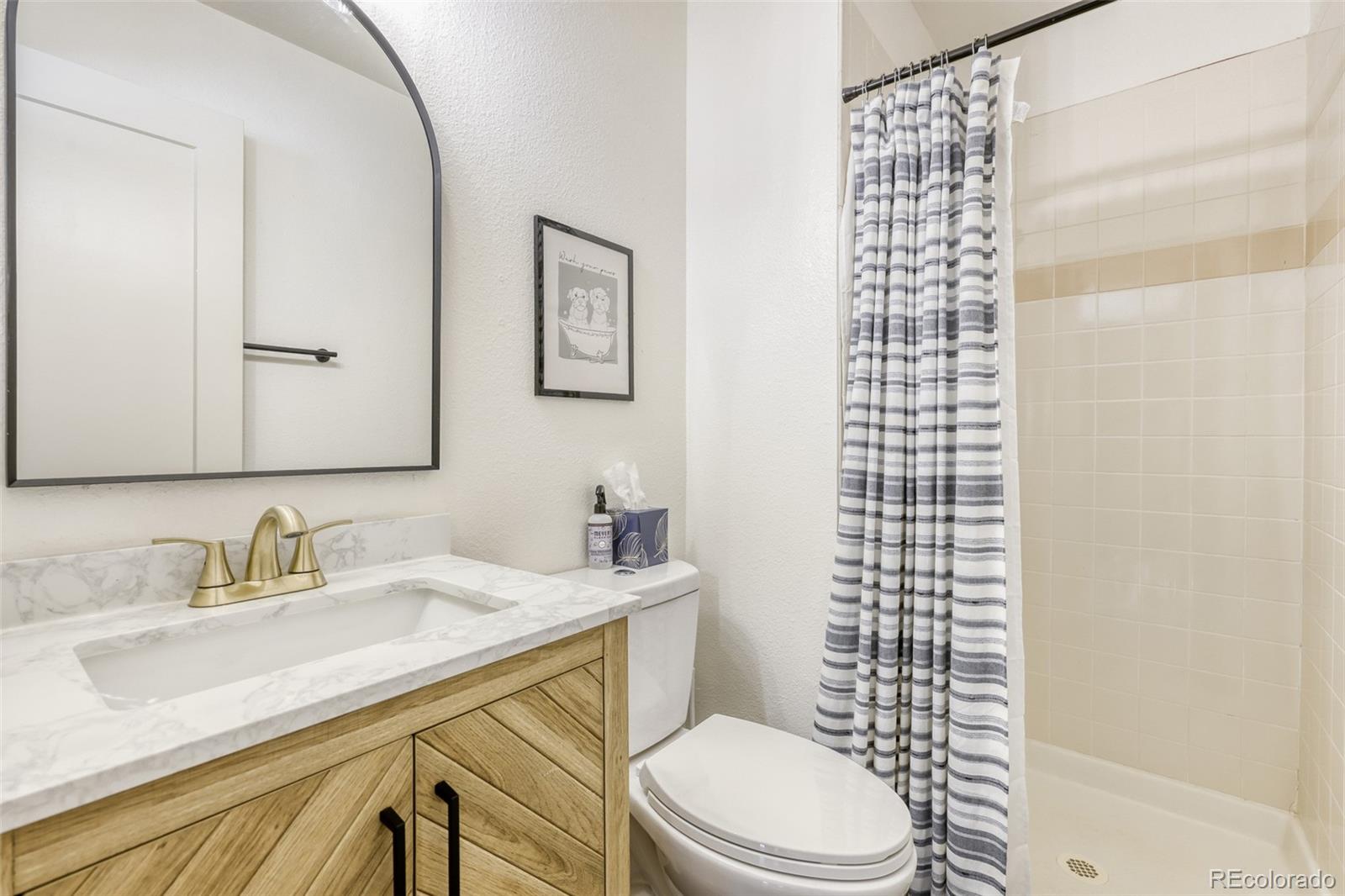 MLS Image #15 for 145  kattell street,erie, Colorado