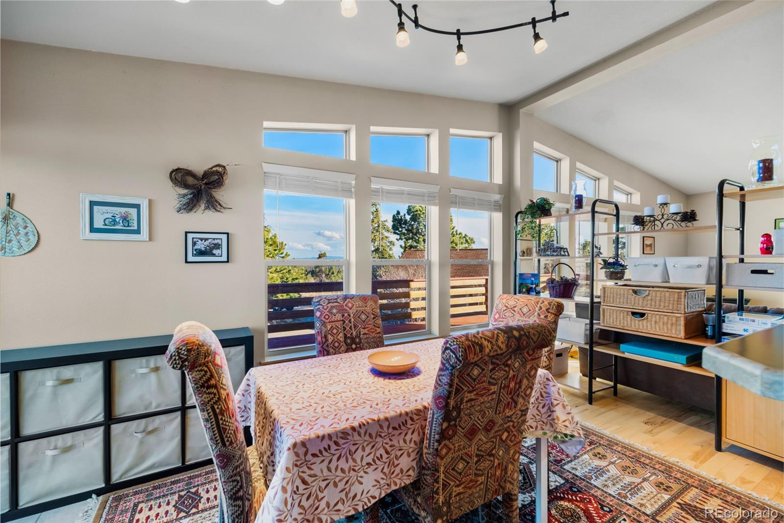 MLS Image #10 for 94  ute way,como, Colorado