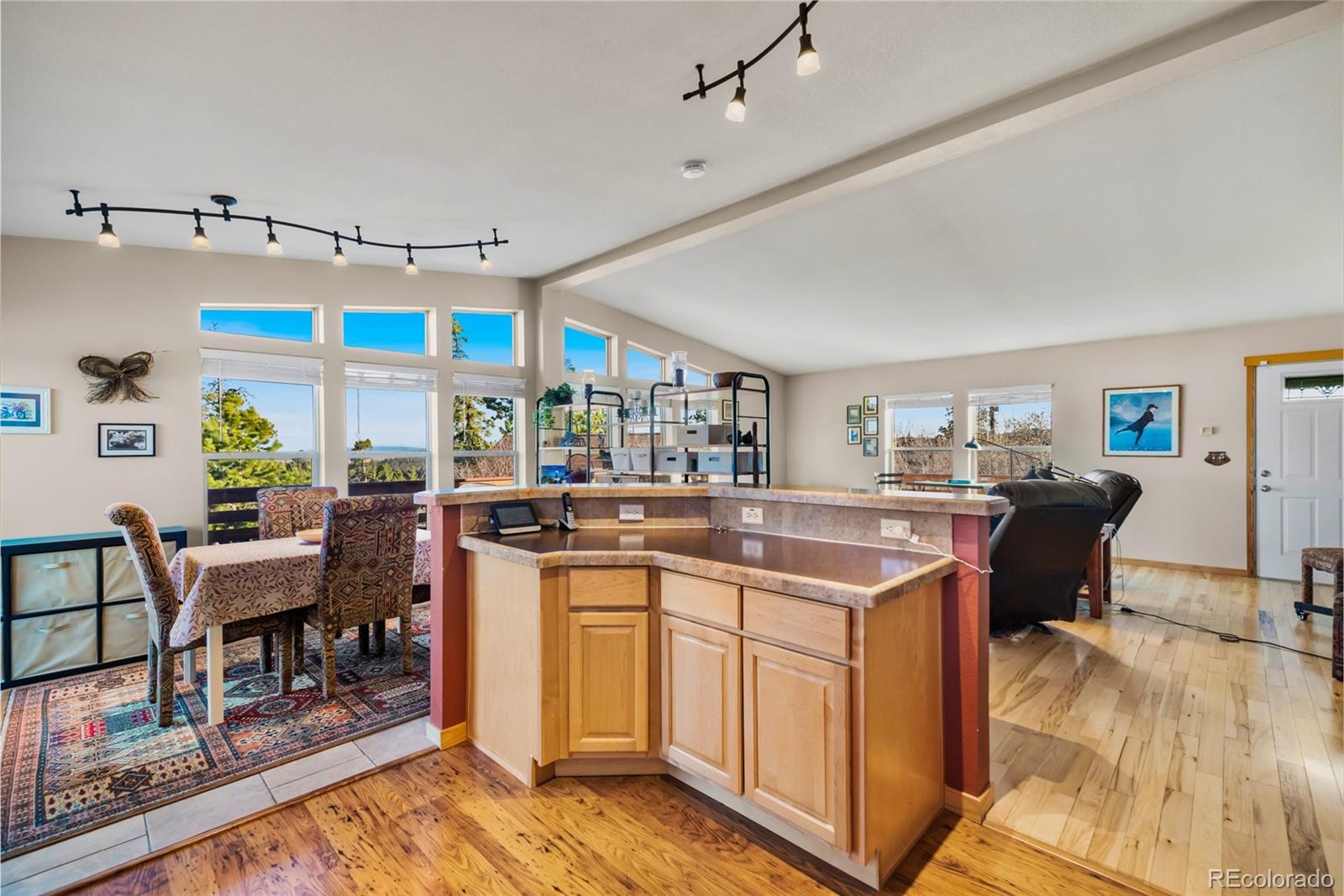 MLS Image #15 for 94  ute way,como, Colorado