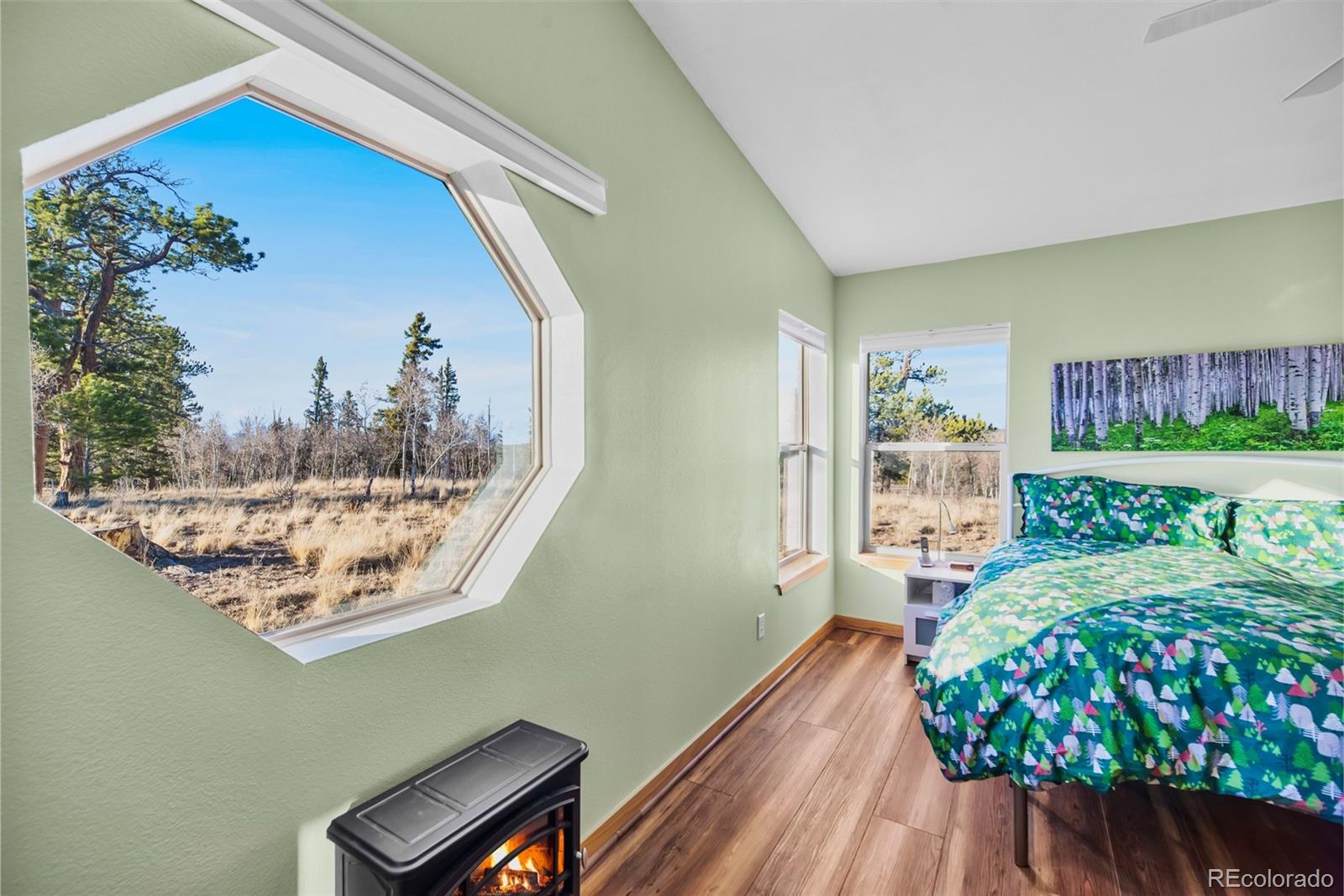 MLS Image #25 for 94  ute way,como, Colorado