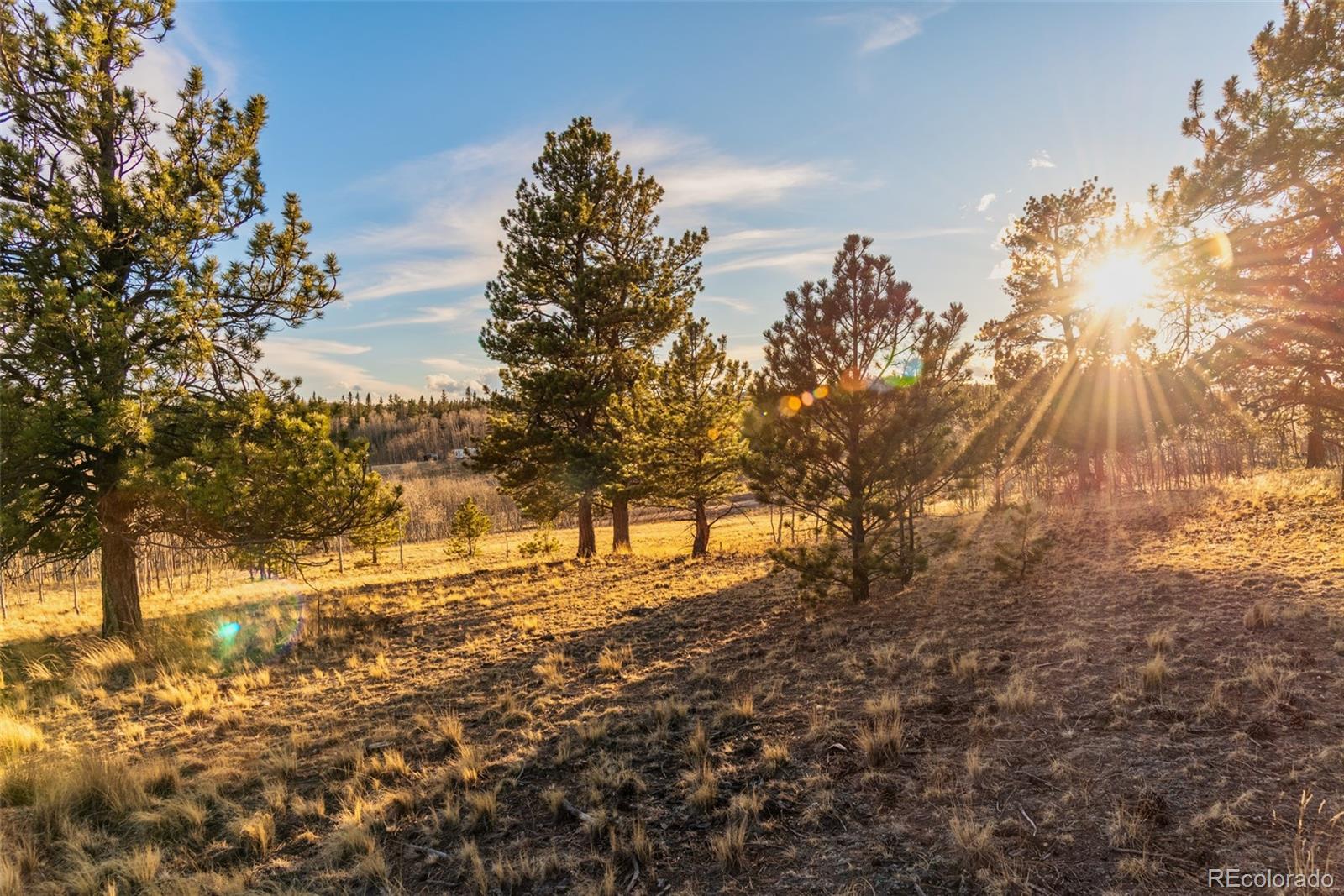 MLS Image #39 for 94  ute way,como, Colorado